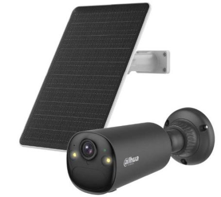 Braunes Pferd mit langem Fell schaut aus einem Stall heraus.